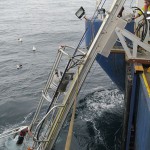 Chatham Rise NZ, Recovery on LARS