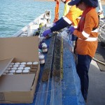 URS Sub-sampling East Arm, Darwin May 12